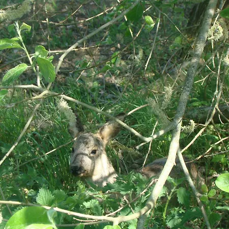 Restaurant N 4 Hotel 3*